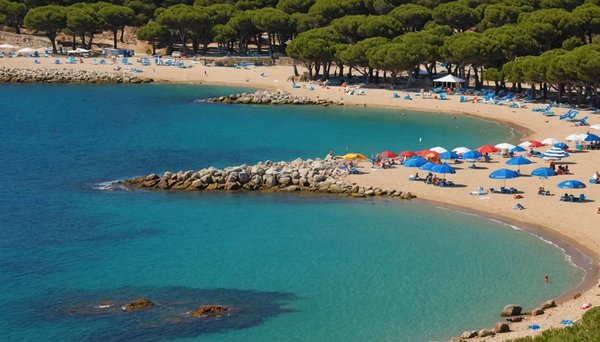 Venez découvrir la plage de port vendres depuis le camping les pins